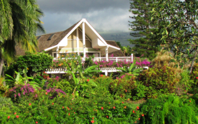 Wailea and Makena Homes