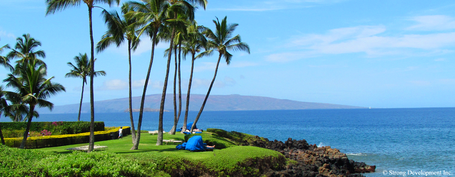 Wailea Real Estate