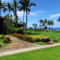 Wailea Elua