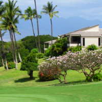 Wailea Ekolu