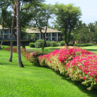 Wailea Fairway Villas