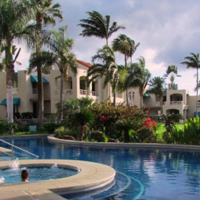 Palms at Wailea