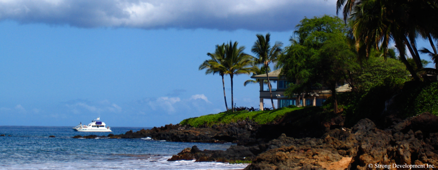 Wailea and Makena Homes